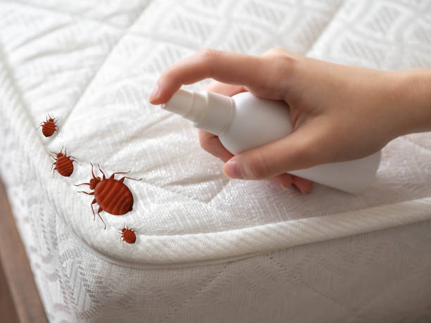 Best Pest Prevention Services  in USA